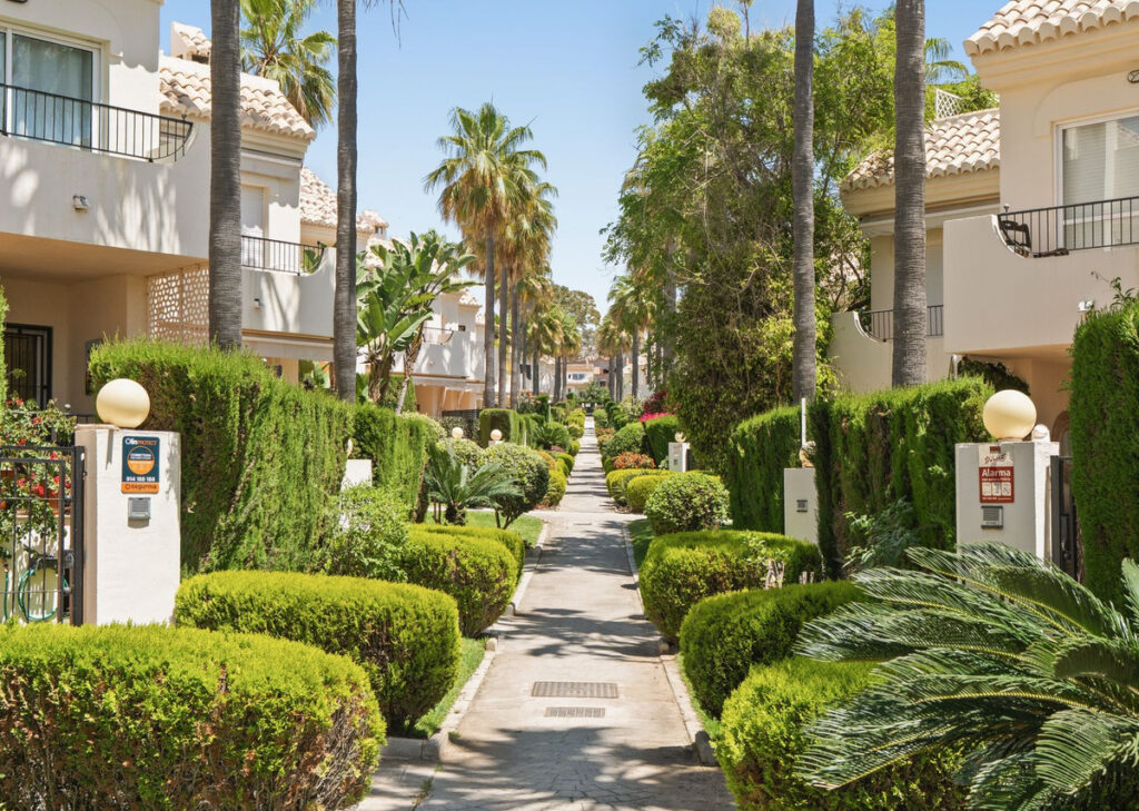 Foto de  1