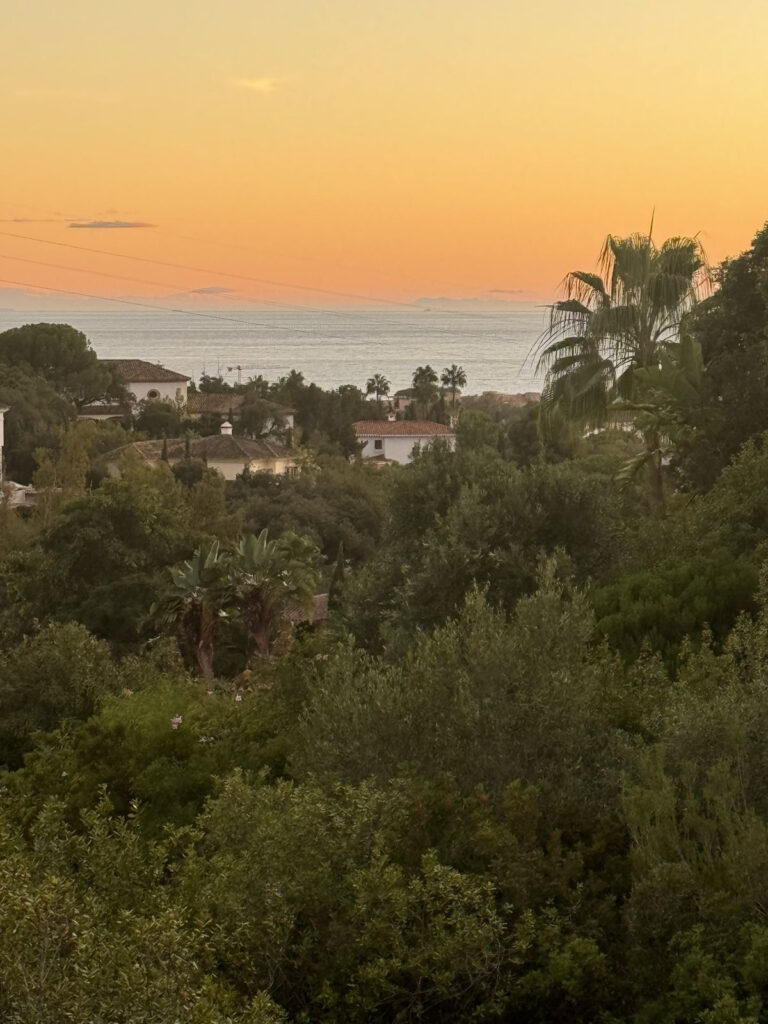 Foto de  1
