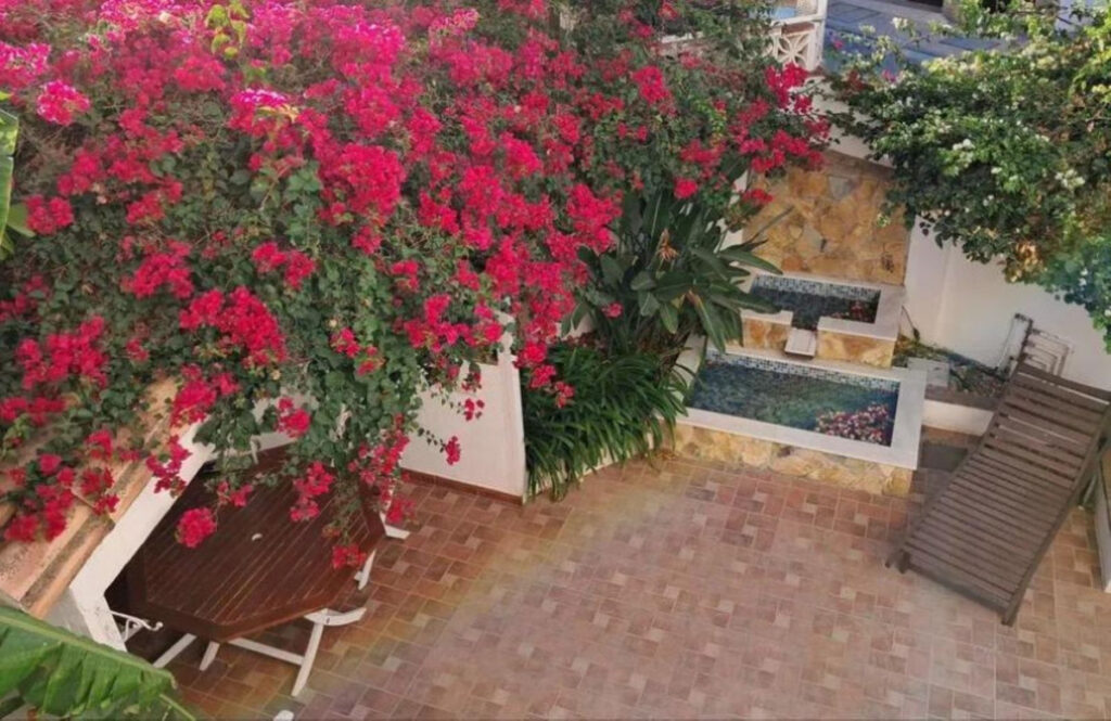 Foto de  1