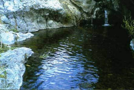 Foto de  1