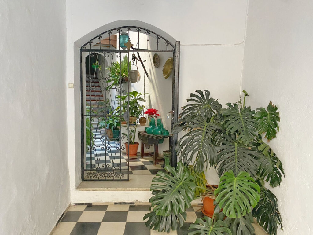 Foto de  1